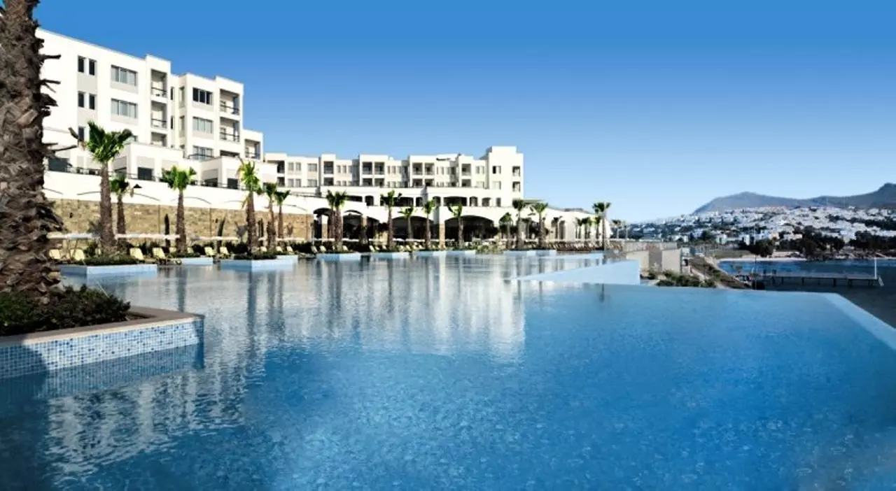 xanaduisland_shabaviz (7).jpg